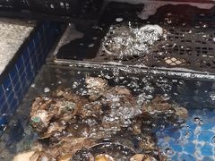 -亚马逊海鲜自助(梅溪湖步步高店)