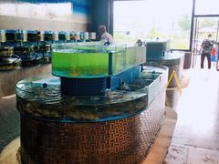 水产区-蓝珊甄选海鲜自助·火锅大排档(近阿那亚店)