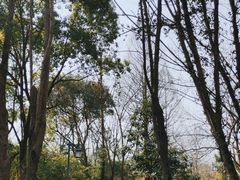 -摇橹船上船码头