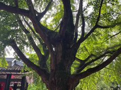 -成都武侯祠博物馆