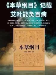 -YESIDO椰岛美容