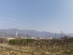 -白水寺森林公园
