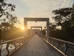 -东莞植物园