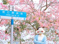 -风云岭森林公园