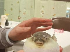 -肆月河豚·新淮扬(金融街店)