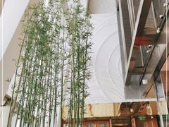 -上海柏悦酒店·世纪100牛排馆