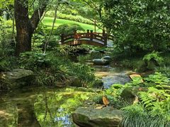-中国茶叶博物馆(双峰馆区)