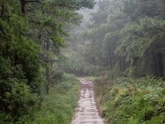 -缥缈峰景区