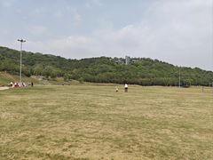 -羊山湖公园