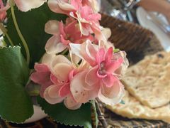 -Old Ottoman Cafe & Restaurant