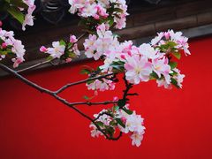 -国家植物园