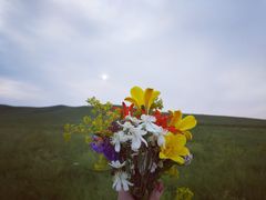 -乌拉盖芍药谷景区