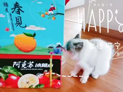 -胡家庙水果批发市场