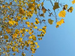 -三锅演义(南环路店)