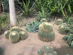 -长春农业博览园