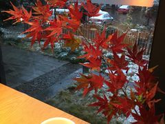 -九墅庭院餐厅(九溪徐村店)