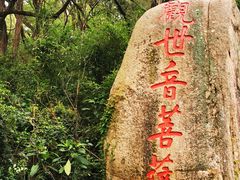 -青芝山风景名胜区