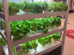 -盒马鲜生(大成店)