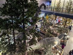 -湖南省地质博物馆