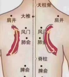 -天姿美容·美体科技SPA·艾姿美店
