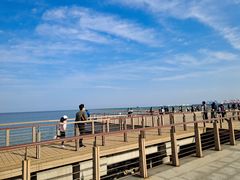 -东疆建设开发纪念公园