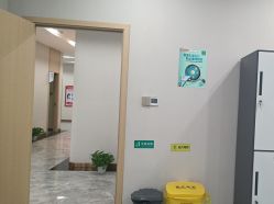 -碧莲盛·不剃发植发