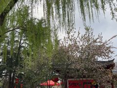 -洛阳市隋唐城遗址植物园