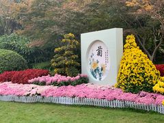 -青枫公园