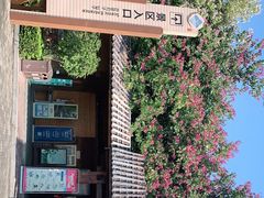 -大湾区中央湿地公园
