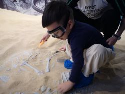 -恐龙探索乐园(磁器口店)