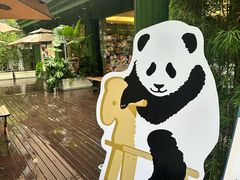 -轩客会(熊猫书店)