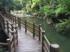 -广州市石门国家森林公园