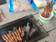 -吴淞炮台湾湿地森林公园烧烤区