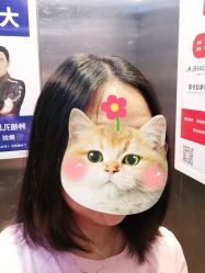 -施华蔻美发连锁