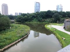 -百林公园-两江幸福广场