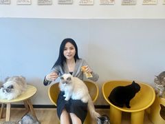 -有喵·猫咖·狗咖·40+猫狗有小奶狗(岗厦店)