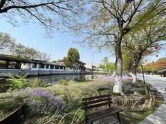 -沙家浜风景区