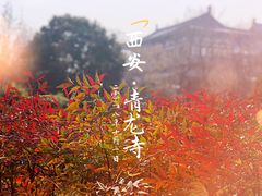 -西安青龙寺遗址景区