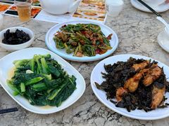 -鲤鱼塘农家山庄