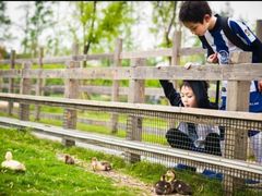 -前小桔亲子创意农场·草莓采摘·露营烧烤