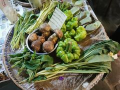 -缘生态云南菜·野生菌庭院餐厅(华侨城店)
