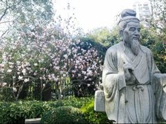 -上海市浦东新区中医医院(罗山分院)