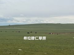 -希拉穆仁草原