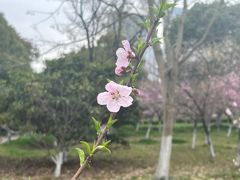 -苏州东太湖生态园