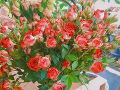 -北马山庄植趣咖啡