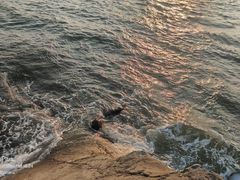 -南戴河旅游度假区