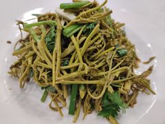 高山木兰芽-百瑞谷饭庄