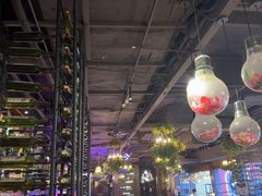 -享润四季椰子鸡音乐主题餐厅(晋江万达店)