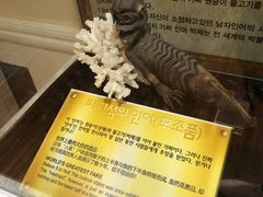 -信不信由你博物馆