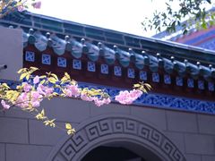 -荆州博物馆